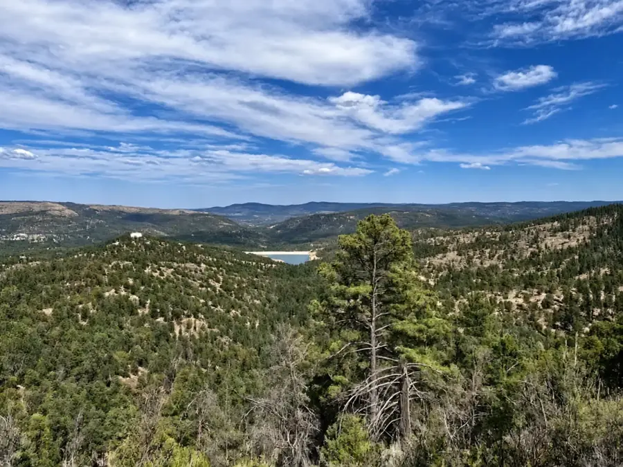 Panoramic forest and lake landscape