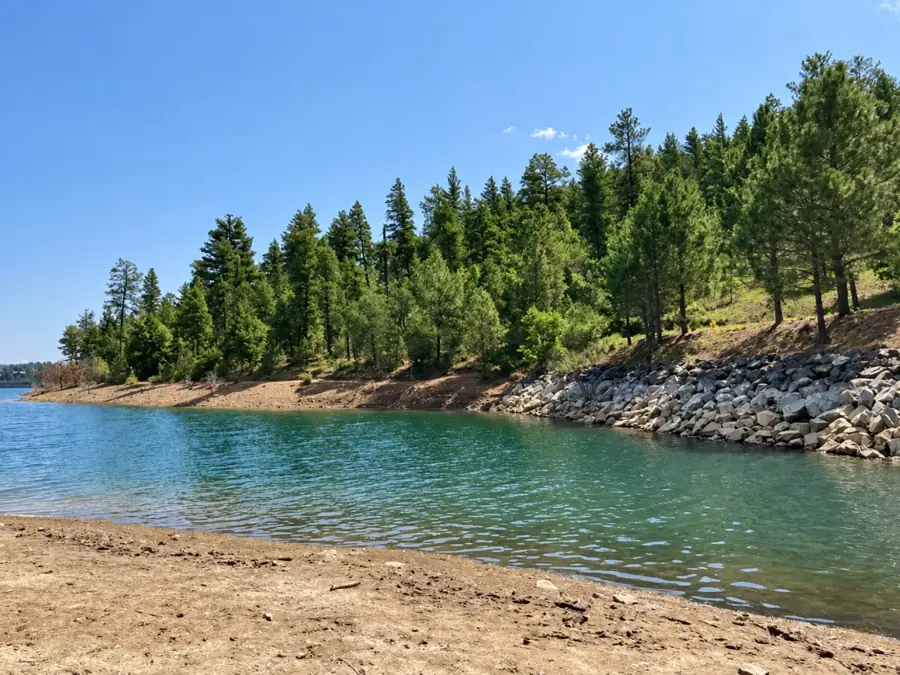 Lakeside shoreline bordered by pine trees